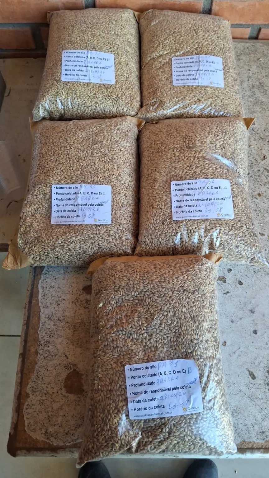 Sacos de amostras de grãos com etiquetas de identificação da coleta.
